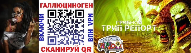 Галлюциногенные грибы Magic Shrooms  сколько стоит  Белый 